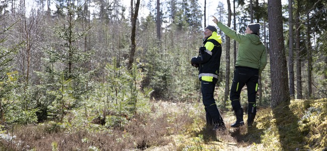 Två personer står på en stig i skogen och diskuterar.  Foto: @ Camilla Zilo