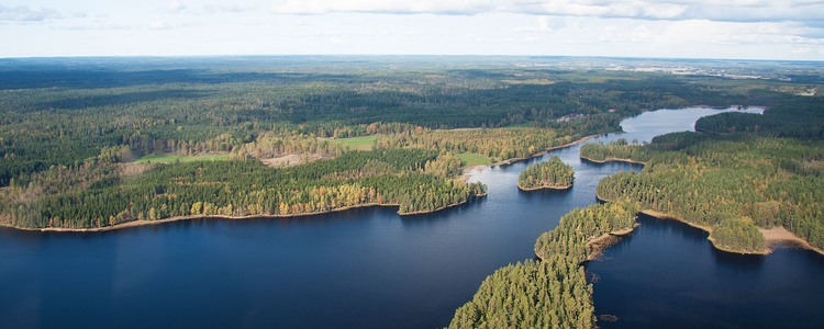 Naturbild från Östergötland. Foto över skog och sjöar. Foto: Mattias Sparf