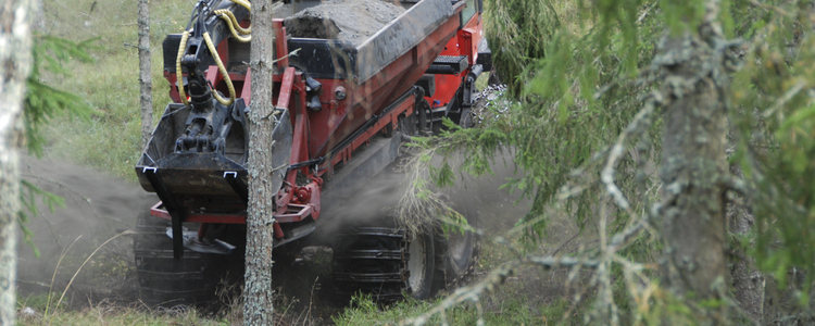 En maskin sprider ut aska i skogen. Foto: Rikard Flyckt