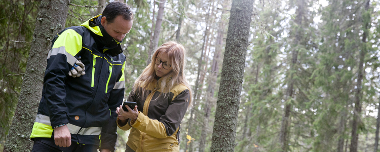 Två personer står i skogen och tittar på mobilen.  Foto: Camilla Zilo