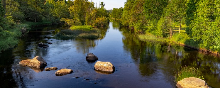 Sommardag vid Emån i Högsby. Foto: Mostphotos