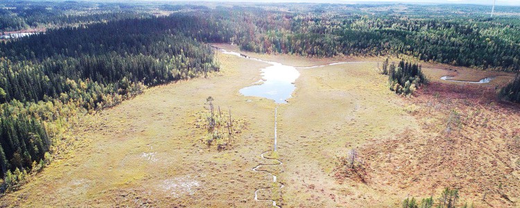 Bild över myrmark tagen från drönare. Längst upp i bild syns en liten tjärn på myren, nedåt i bild finns ett dike, delar av diket har meandrats. Längs den övre kanten av våtmarken tar granskog vid.  Foto: Länsstyrelsen i Jämtland län