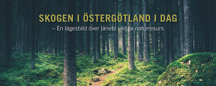 Skogen i Östergötland idag