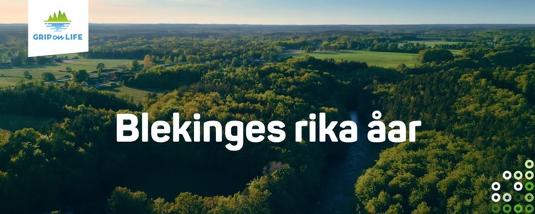 En vy över en å som ringlar sig genom ett grönt landskap. Text: Blekinges rika åar