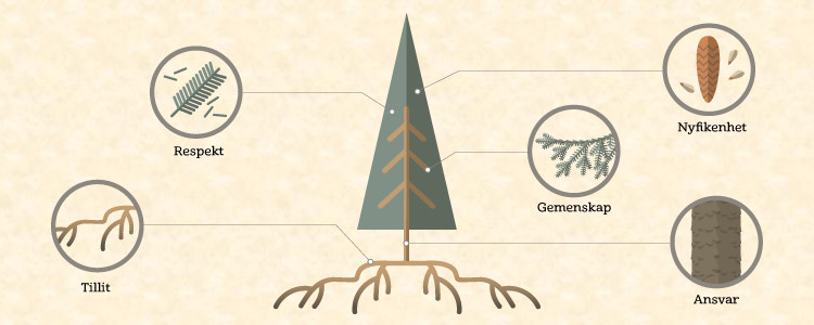 Illustration på gran med utlyfta detaljer som symboliserar olika värden:  granbarr - respekt, grren - gemenskap, kotte - nyfikenhet, stam - ansvar, rotsystem - tillit.