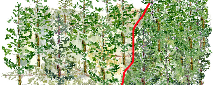 illustration, enkelställning.