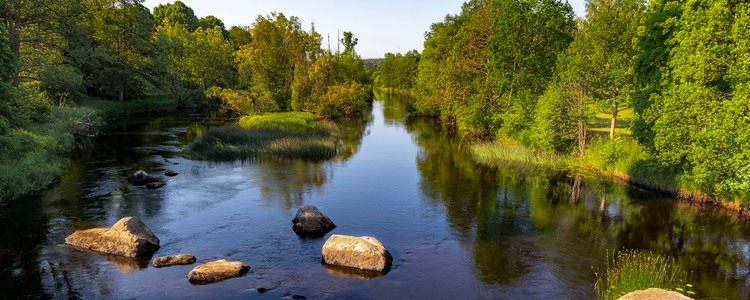 A summer day at the Emån River in Högsby, Sweden. Foto: Mostphotos
