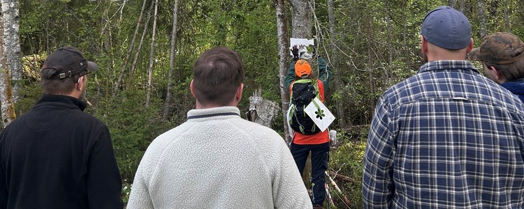 Studenter får sommarjobba i skogen