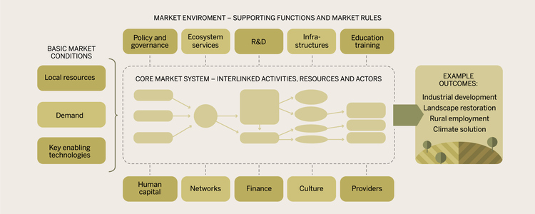 Figure showing the environment within the participants operates.