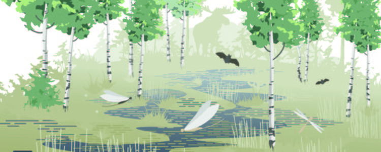 Illustration som visar en mark med sly, buskar, insekter och djurliv. Foto: Ann Giss