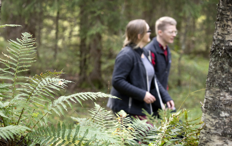 Några människor som går genom en skog.  Foto: @ Camilla Zilo