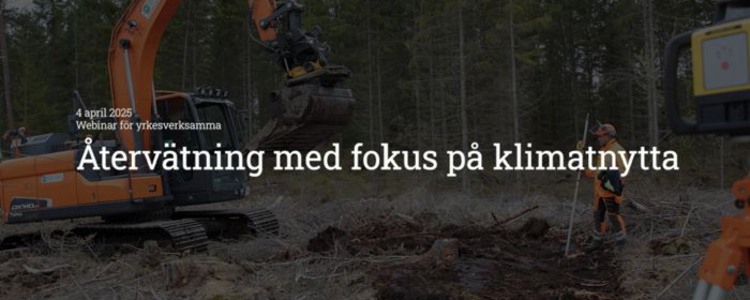 Skärmbild av film