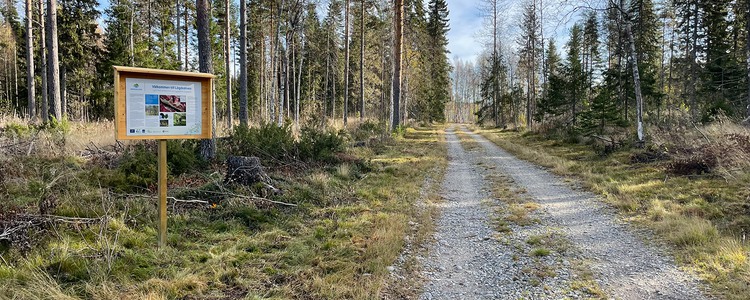 En rak skogsbilväg går genom gles skog. Till vänster står en skylt som berättar om demonstrationsområdet Lögdeälven.