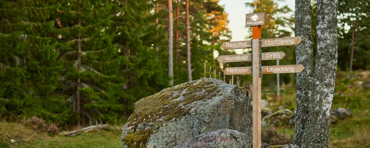 En vägvisare med flera pilar står vid en stig i skogen. Foto: Patrik Svedberg + montage