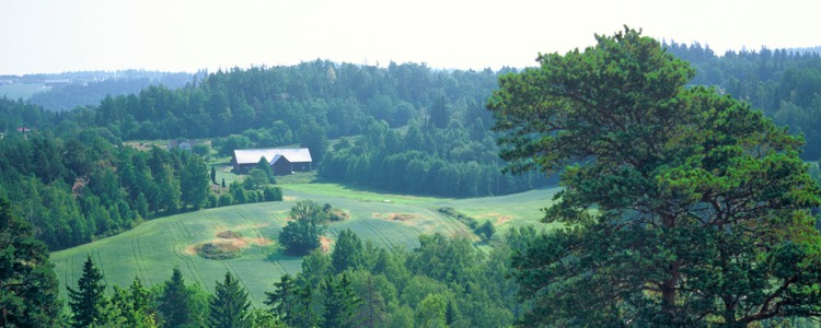 Skogslandskap och jordbruk.  Foto: Michael Ekstrand