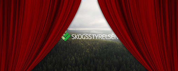 En röd ridå på en biograf dras undan och bakom syns en film från Skogsstyrelsen