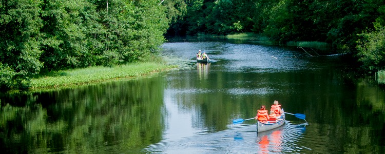Kanotpaddling i ett vattendrag omgivet av skog. Foto: JAN KANSANEN/MostPhotos