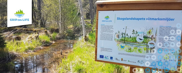 A sign at one of Grip on Life’s demonstration areas.The sign’s headline reads “Wetland environments in forest landscapes”.