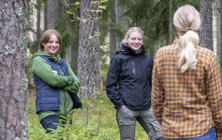 Fältkurs om naturvårdande skötsel utanför Vetlanda, Småland.  Foto: Camilla Zilo