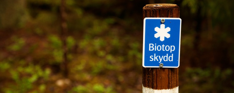 Biotopskydd. Foto: R Magnusson,  prio-1@telia.com
