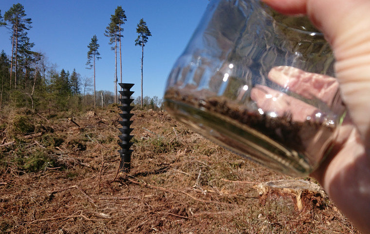 Granbarkborrefälla och fångst i burk. Foto: Anna Cederholm
