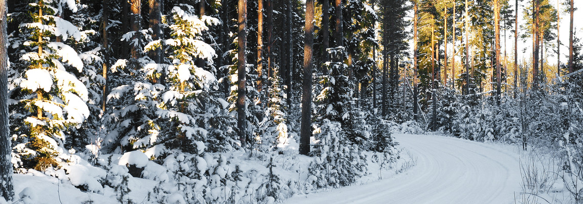 vinterväg. Foto: Bo Persson