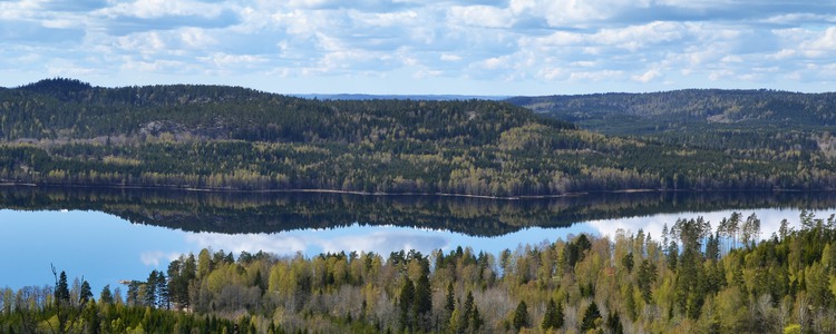 Vackert vårlandskap i Dalsland med berg, skogar och spegelblankt vatten. Barrskog med inslag av löv.  Foto: Emma Liljewall