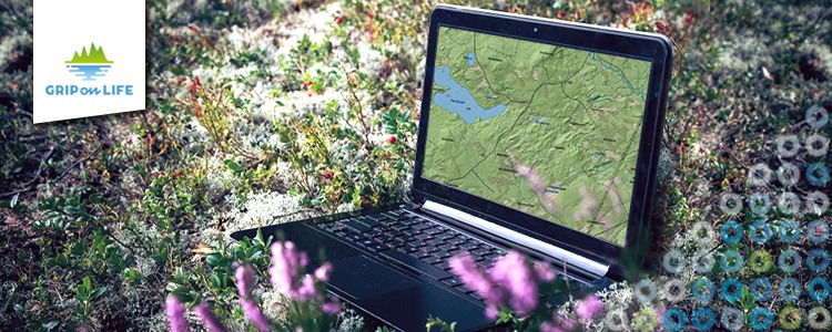 A laptop is placed on moss in the forest, with a map displayed on its screen. Foto: Mostphotos