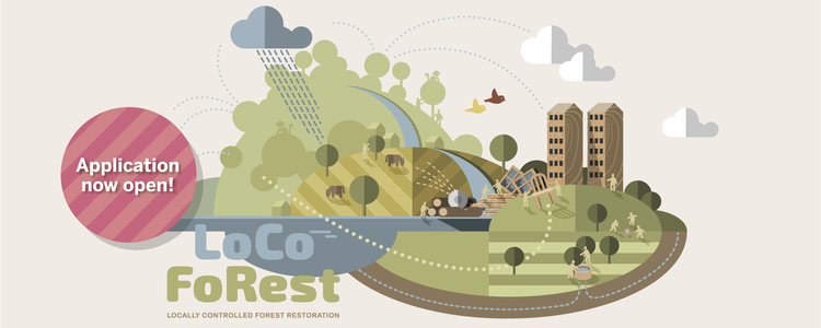 Locoforest concept image