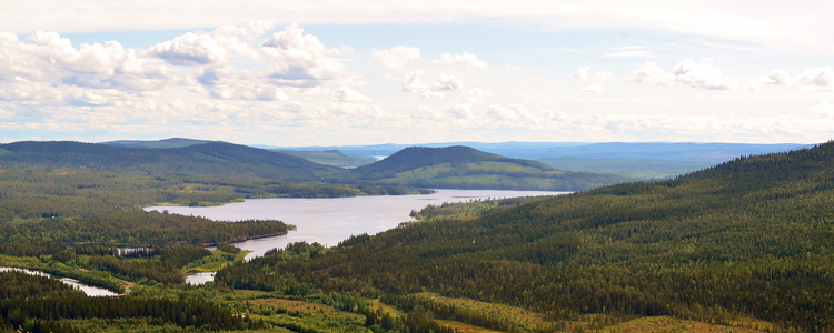 Vacker utsikt över gransluttningar och vatten i Norra Västerbotten.