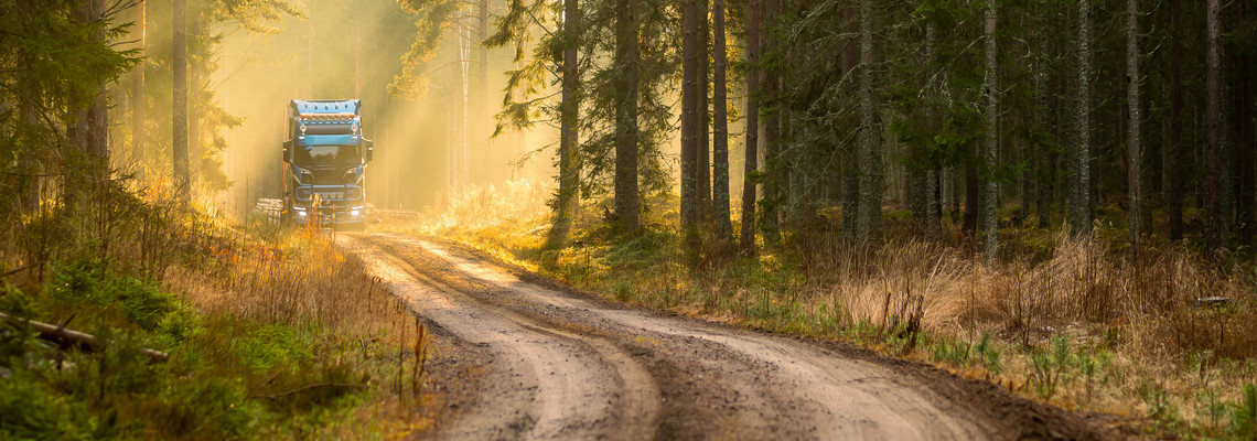 Timmerlastbil kommer på en skogsbilväg långt borta samtidigt som solstrålarna lyser in genom trädstammarna i skogen. Foto: Bulldozer