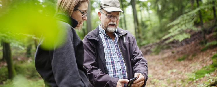 En skogskonsulent och en skogsägare tittar tillsammans på kartprogram (Field maps) i telefon omgivna av bokskog. Foto: Jenny Leyman