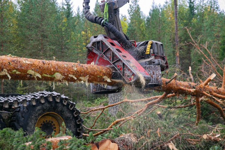 skördare. Foto: Bo Persson