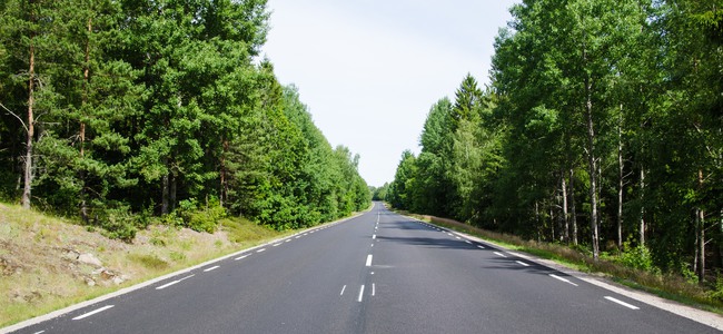 Väg genom skogslandskap. Foto: Mostphotos