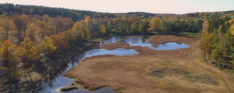 Drönarbild över restaurerad våtmark. Foto: AHA Produktion