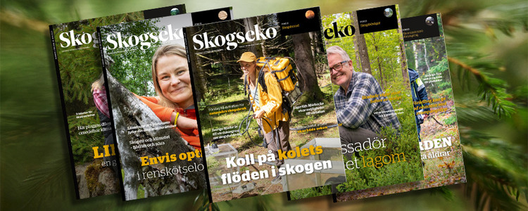 Bild på olika omslag på Skogseko.