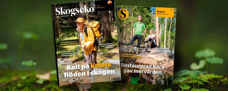Omslagsbild på tidningen Skogseko 1-2024.