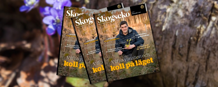 Omslagsbild på senaste Skogseko.
