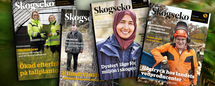 Omslag Skogseko 2022