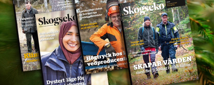 Omslag Skogseko, fyra nummer