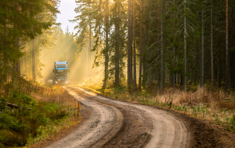 Timmerlastbil kommer på en skogsbilväg långt borta samtidigt som solstrålarna lyser in genom trädstammarna i skogen. Foto: Bulldozer