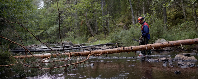 Bilden visar hur död ved kan läggas i vattendrag.  Foto: Emåförbundet