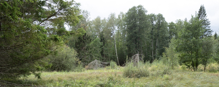 Ryssängen, en utdikad våtmark vid Emån i Kalmar län
