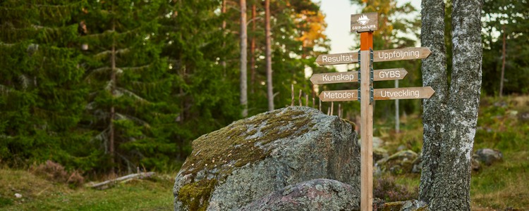 A signpost with multiple arrows stands along a forest trail. Foto: Patrik Svedberg + montage
