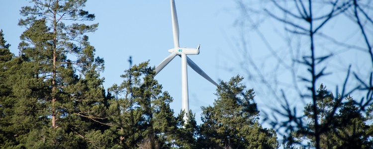 Vindkraftverk i skog. Foto: Michael Ekstrand