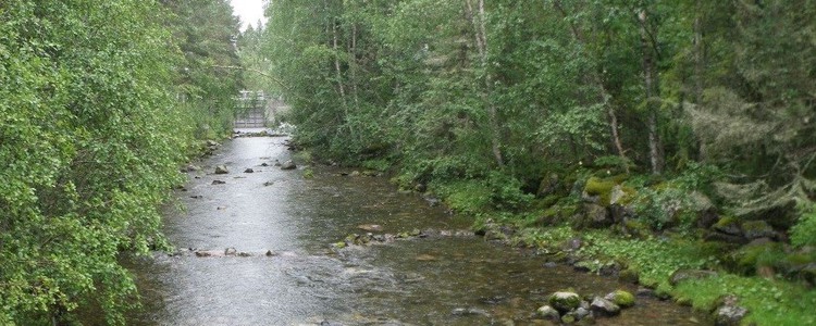 Strömsträckan nedströms Näktens omlöp i Billstaån.  Foto: Länsstyrelsen i Jämtlands län