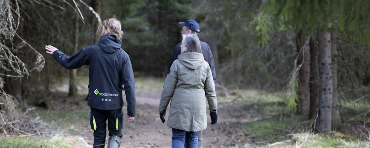 Rådgivning och planering inför hyggesfritt skogsbruk. Foto: Camilla Zilo