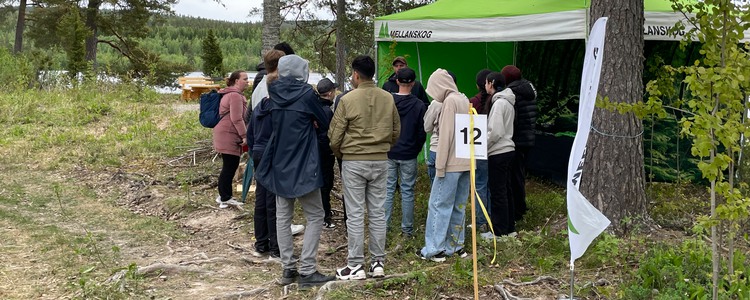 Skogens dagar i Värmland 2025 använder Grip on Lifes (Mellanskogs) slinga i Södra Viken. Foto: Kajsa Lander