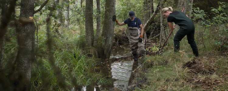 Två personer gör enkla restaureringsåtgärder i ett litet vattendrag i skogen. Foto: Emåförbundet
