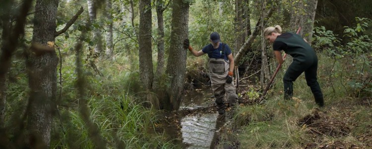 Två personer gör enkla restaureringsåtgärder i ett litet vattendrag i skogen. Foto: Emåförbundet